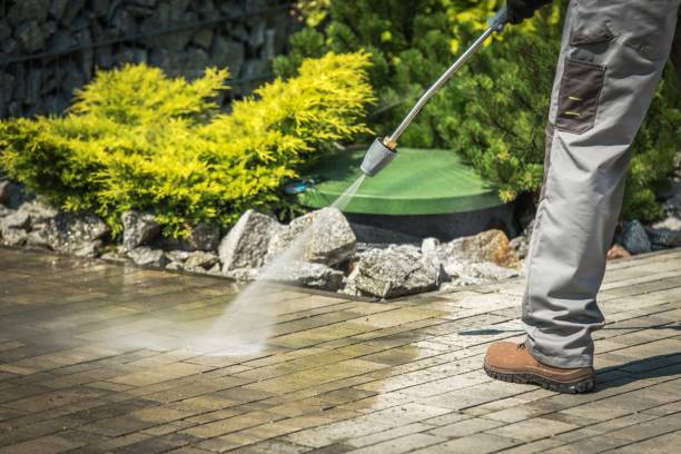 Best Solar Panel Cleaning  in Telford, PA